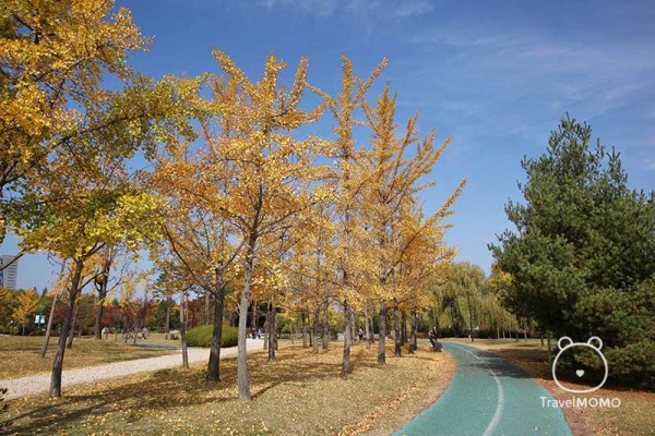 Ilsan Lake Park is one of the largest main-made lake in Asia 湖水公園是亞洲最大人工湖之一