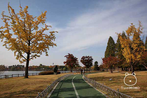 Taking a nice long walk along the lakeside is very pleasant in a good weather 在天氣好的日子，沿公園湖伴散步是一賞心樂事