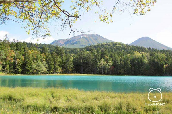 Lake Onneto in Akan National Park, Hokkaido, Japan 日本北海道阿寒湖國家公園溫內秀湖