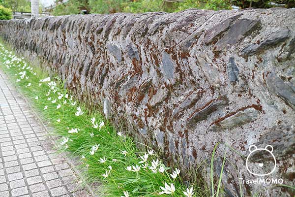 Clay walls of the Memorial Hall of Founding of Yilan Adminstration 設治紀念館的外牆