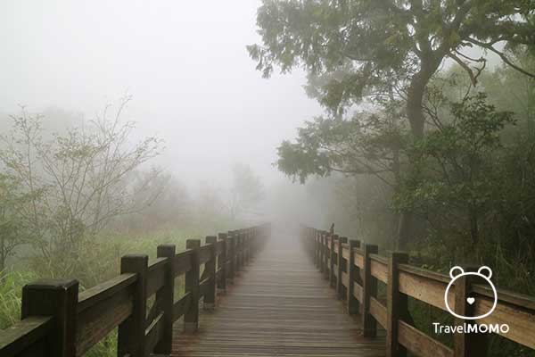 Cuifeng Lake Walking Trail in Mt Taiping. 翠峰湖步道