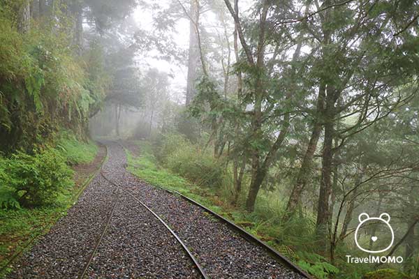 Seeing the bright sky walking trail in Mt Taiping 見晴懷古步道
