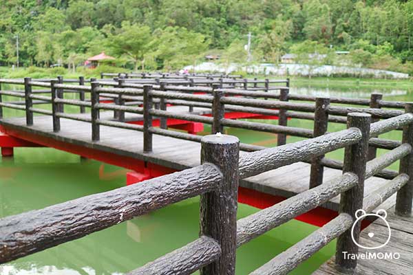 Foot bridge of Wang Long Pi in Yilan 宜蘭望龍埤的九曲橋