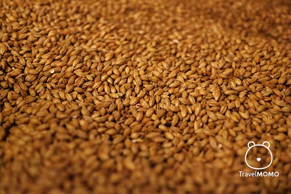 Barley 大麥穀殼