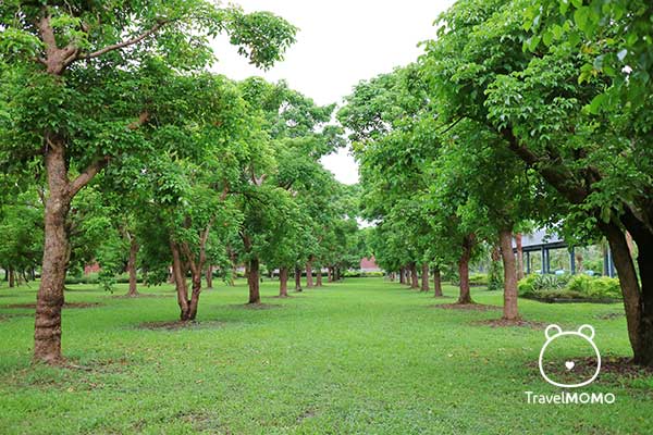 The yard of Kavalan Whisky Distillery 噶瑪蘭酒廠的花園
