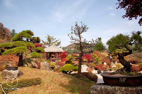 The Garden of Morning Calm 晨曦花園