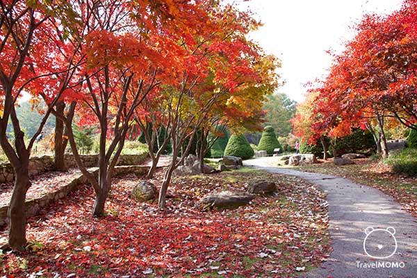The Garden of Morning Calm 晨靜樹木園