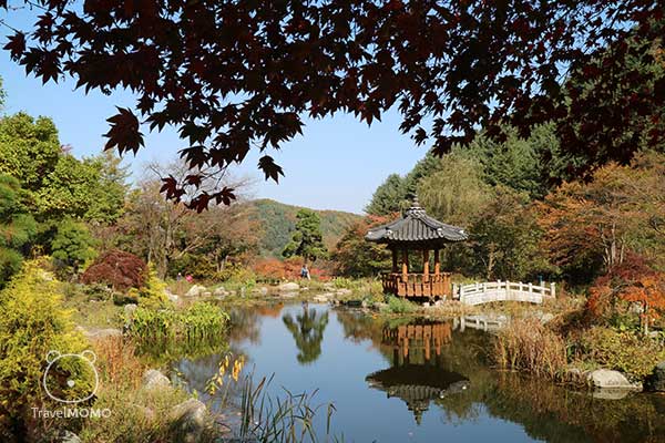 The Garden of Morning Calm 晨曦花園