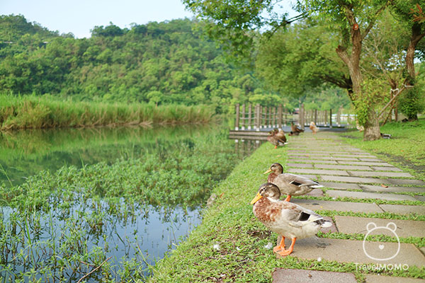 Plum Lake at Yilan 宜蘭梅花湖