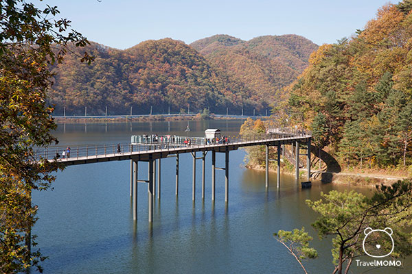 Uiamho Lake Skywalk 衣岩湖 Skywalk