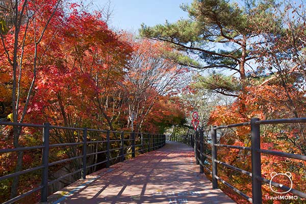Uiamho Lake Skywalk bike/foot path 衣岩湖的 Skywalk 
