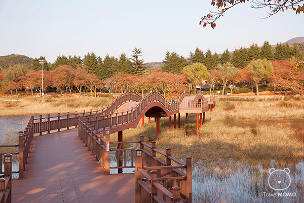Bomun Lake 普門湖