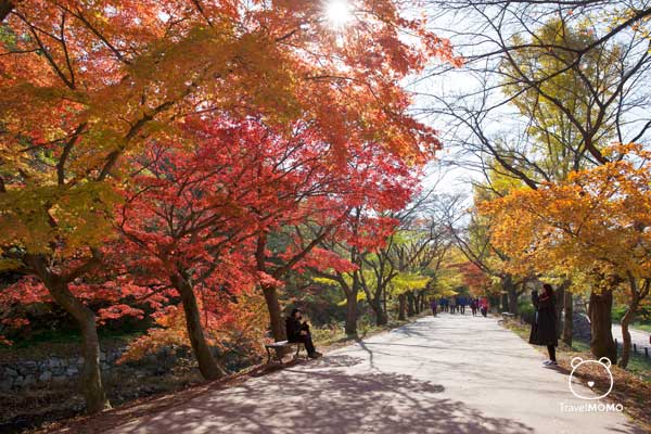 Seonunsan Mountain in Korea 韓國禪雲山