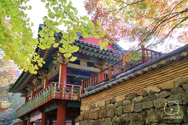 Seonunsa 禪雲寺