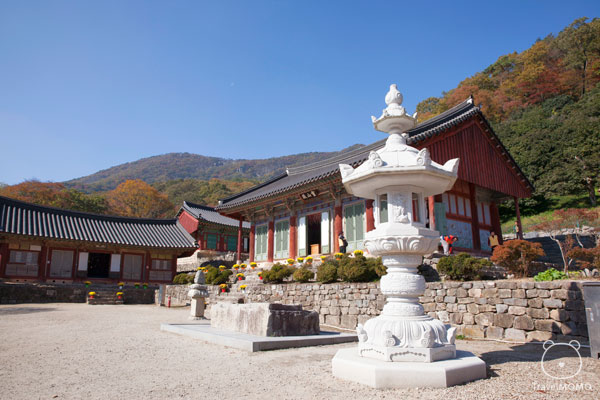 Seonunsa Temple in Korea 韓國禪雲寺