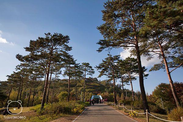 Path to Sky Park in Seoul 往首爾天空公園的路徑