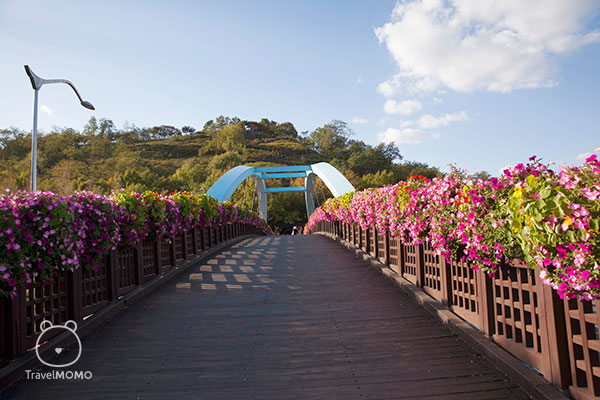 Wooden bridge at Sky Park 往天空公園的木橋