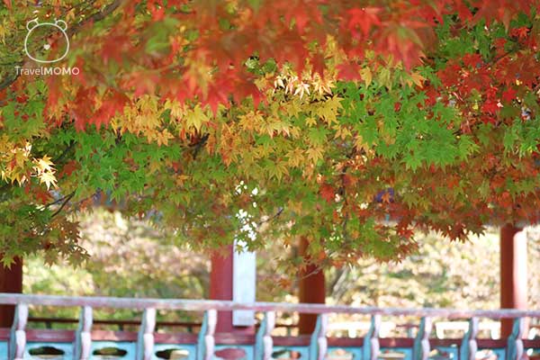 Naejang temple 內藏寺