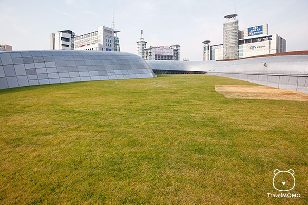 DDP grass field