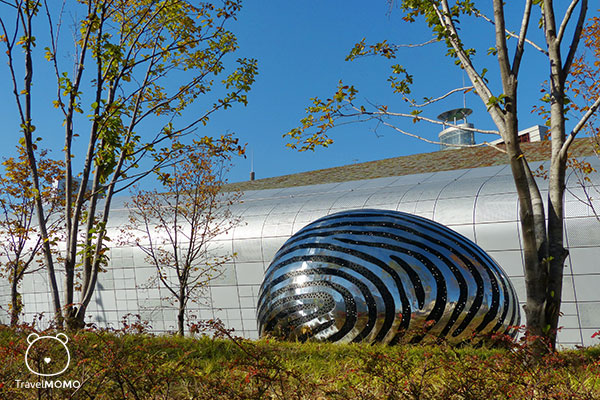 DDP outdoor exhibition 東大門戶外藝術展覽