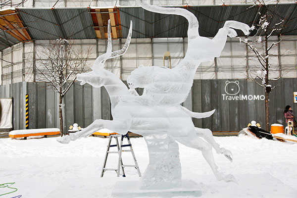Asahikawa International Ice Sculpture Competition 旭川國際冰雕比賽