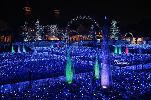 Nanaba illumination 名花之里冬季彩燈祭