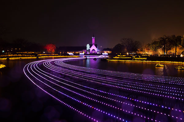 Nanaba illumination 名花之里冬季彩燈祭