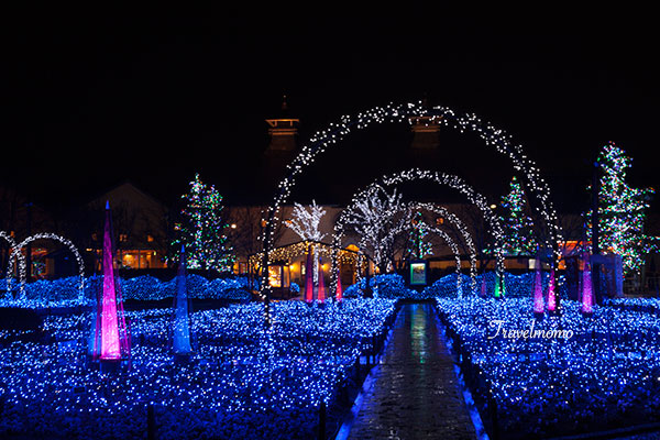 Nanaba illumination 名花之里冬季彩燈祭