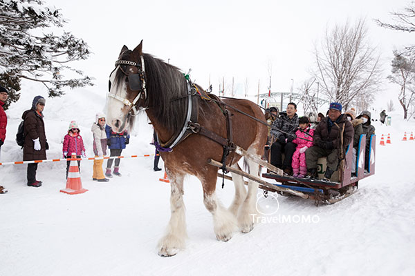 2016 Asahikawa Winter Festival 旭川冬祭