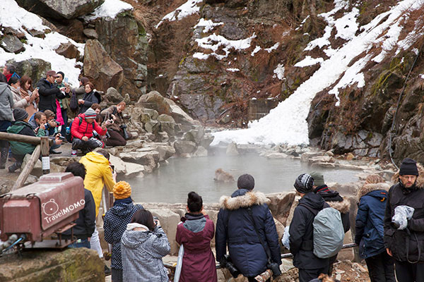 Jigokudani monkey park in Nagano 長野地獄谷野猿公園
