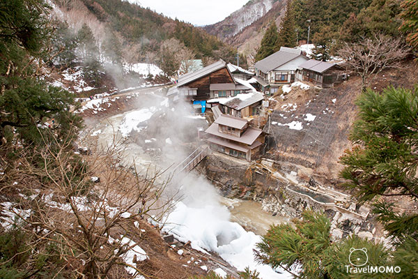 Jigokudani monkey park in Nagano 長野地獄谷野猿公園