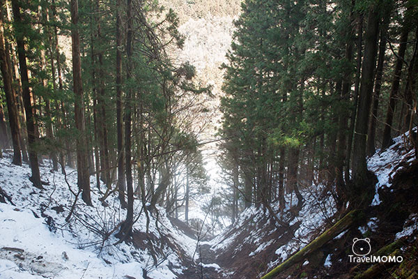 Jigokudani monkey park in Nagano 長野地獄谷野猿公園