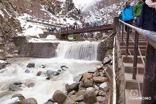 Jigokudani monkey park in Nagano 長野地獄谷野猿公園