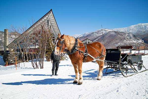 Okushiga Kogen Hotel 奧志賀高原酒店
