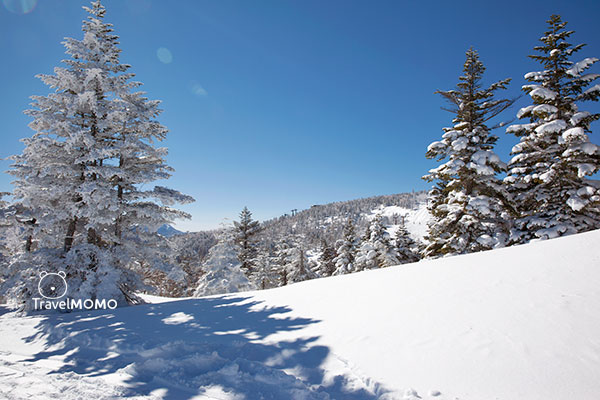 Okushiga Kogen 奧志賀高原