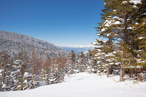 Okushiga Kogen 奧志賀高原