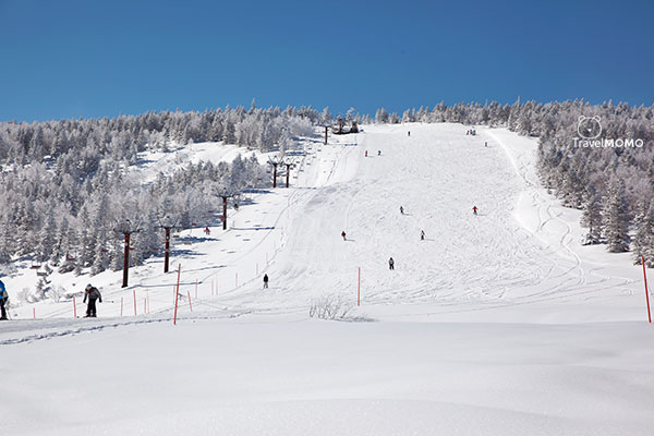 Okushiga Kogen course 4 奧志賀高原第4雪道