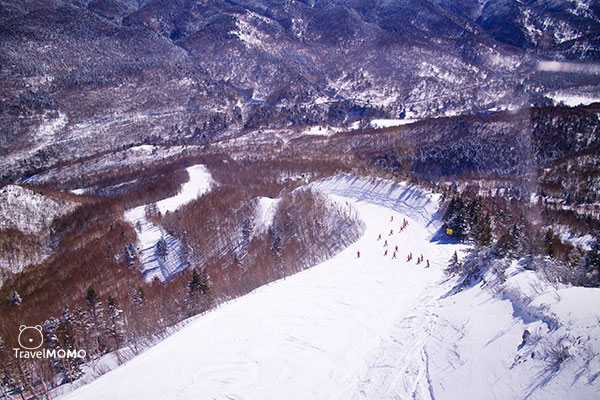 Ski trail in Okushiga Kogen 高志賀滑雪道