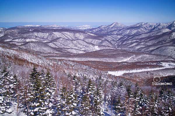 Shiga Kogen 志賀高原