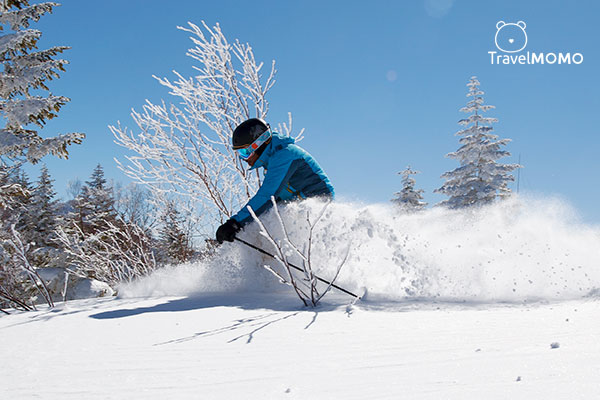 Skiing at Okushiga Kogen. 在奧志賀高原滑雪