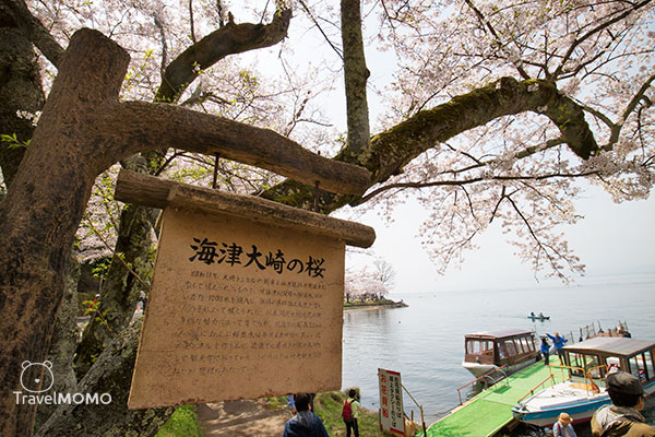 Kaizuosaki at Lake Biwa 琵琶湖海津大崎