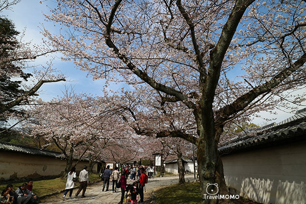 Daigo-ji Reihokan in Kyoto, Japan 日本京都醍醐寺靈寶館