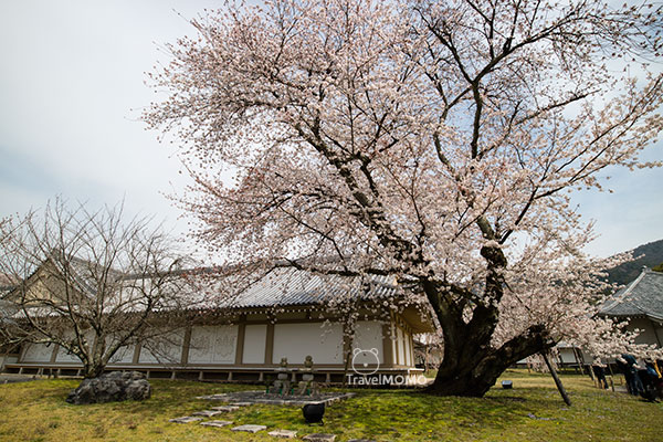 Daigo-ji Reihokan in Kyoto, Japan 日本京都醍醐寺靈寶館