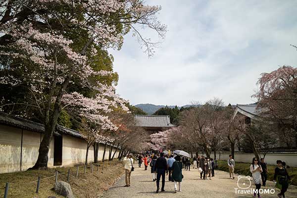 Daigoji in Kyoto, Japan 日本京都醍醐寺