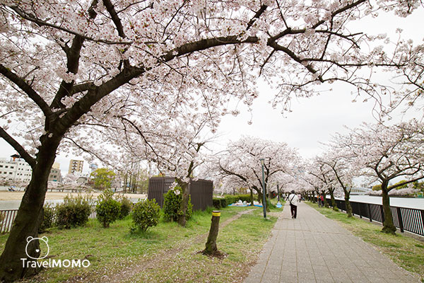 Kema Sakuranomiya Park in Osaka 大阪毛馬櫻之宮海濱公園