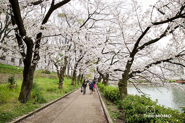 Kema Sakuranomiya Park in Osaka 大阪毛馬櫻之宮海濱公園