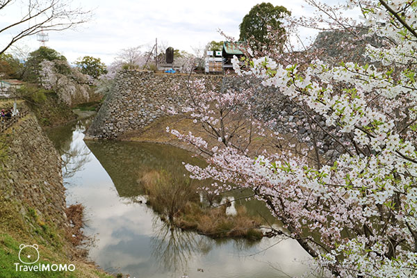 Ruins of Koriyama Castle 郡山城跡