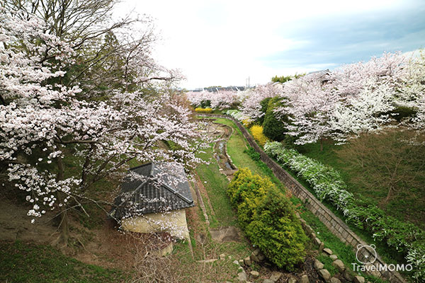 Ruins of Koriyama Castle 郡山城跡