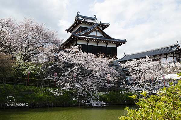 Ruins of Koriyama Castle 郡山城跡