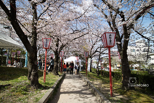 Ruins of Koriyama Castle 郡山城跡